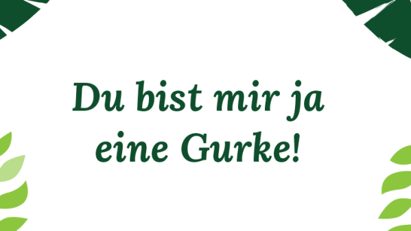 Gurke karenzzeit