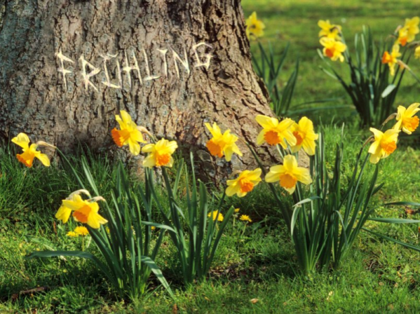 Frühling Karenzzeit Fructoseintoleranz