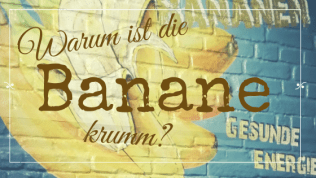 Testphase bei Fructoseintoleranz Banane