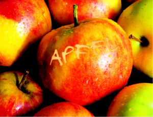 Apfel Karenzzeit Fructoseintoleranz Testphase