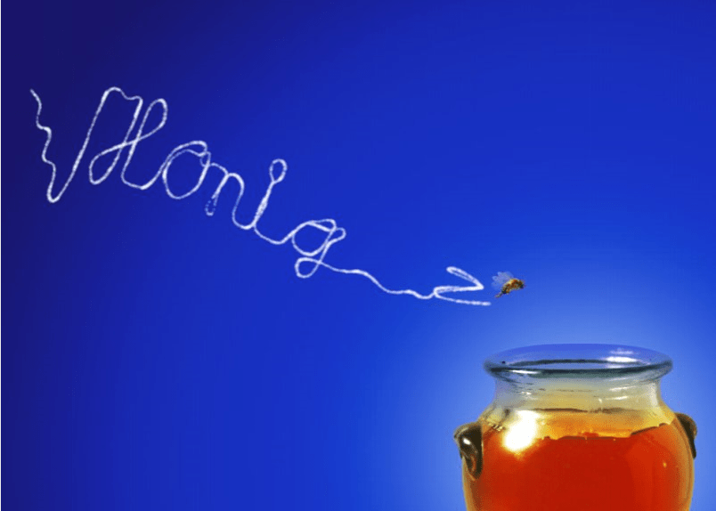 Honig Karenzzeit Fructoseintoleranz