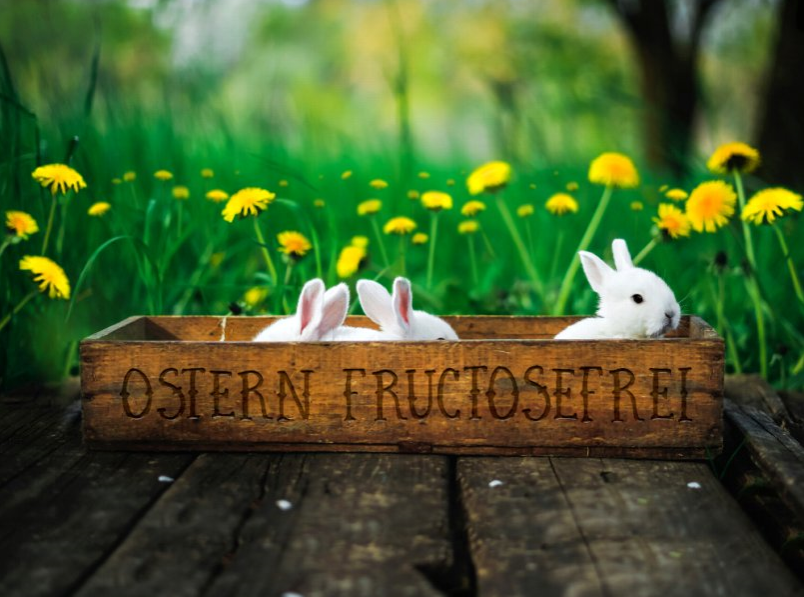 fructosefreie Ostern Karenzzeit Fructoseintoleranz