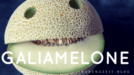 Was darf ich essen Fructoseintoleranz Galiamelone