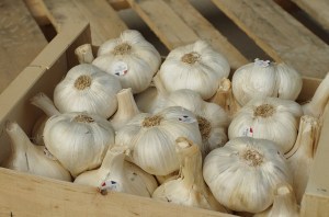 was darf ich trinken Fructoseintoleranz knoblauch 2