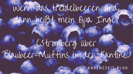 was darf ich essen fructoseintoleranz heidelbeeren