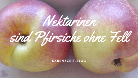 was darf ich essen Fructoseintoleranz Nektarine