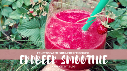 was darf ich trinken fructosearm erdbeer smoothie