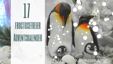 Adventkalender Fruktoseintoleranz fructosefrei 17