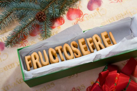fructosefrei adventskalender