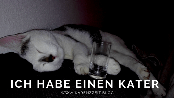 Fructoseintoleranz Kater