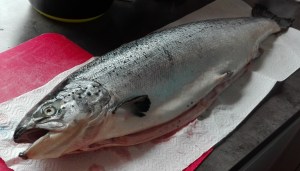 fructoseintoleranz rezept fisch im salzmantel