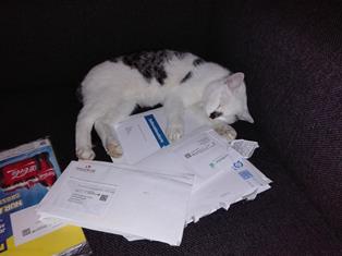 fructoseintoleranz 12 von 12 2