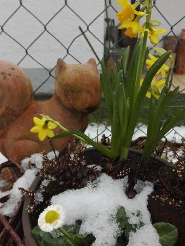 fructoseintoleranz 12 von 12 6