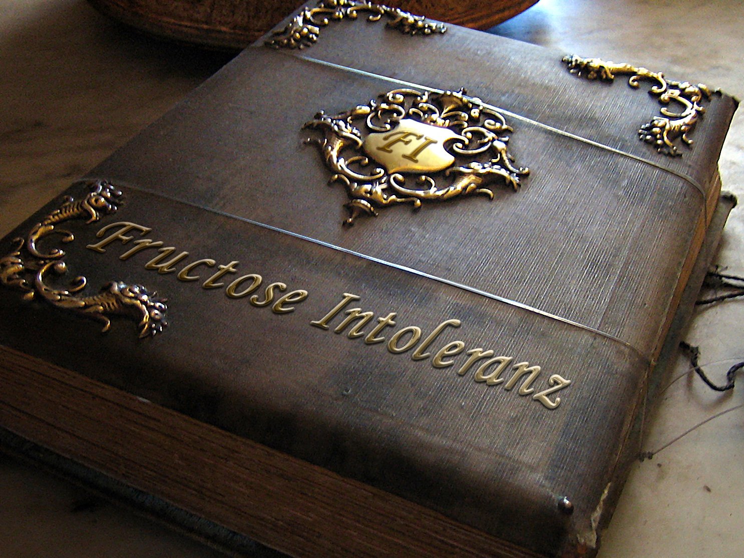 Buch Fructoseintoleranz